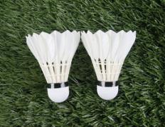 乐鱼体育-中国羽毛球队绝地反击泰国羽毛球队，辛杜送出助攻