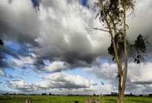 乐鱼 vip 注册-包含马来西亚队完胜日本队，李梓嘉状态火热的词条