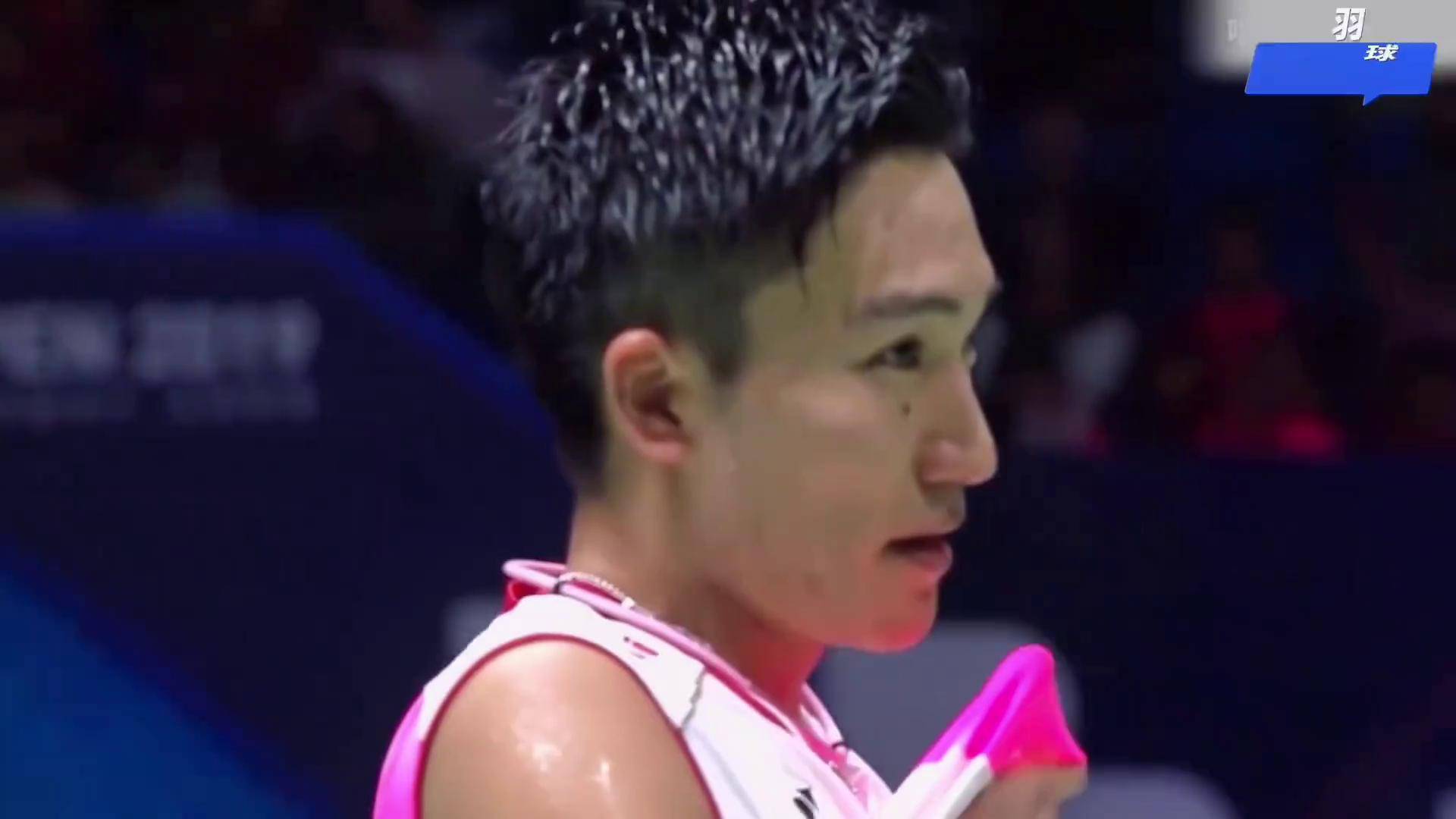 乐鱼体育app-关于泰国羽毛球队碾压韩国羽毛球队,谌龙送出助攻的信息