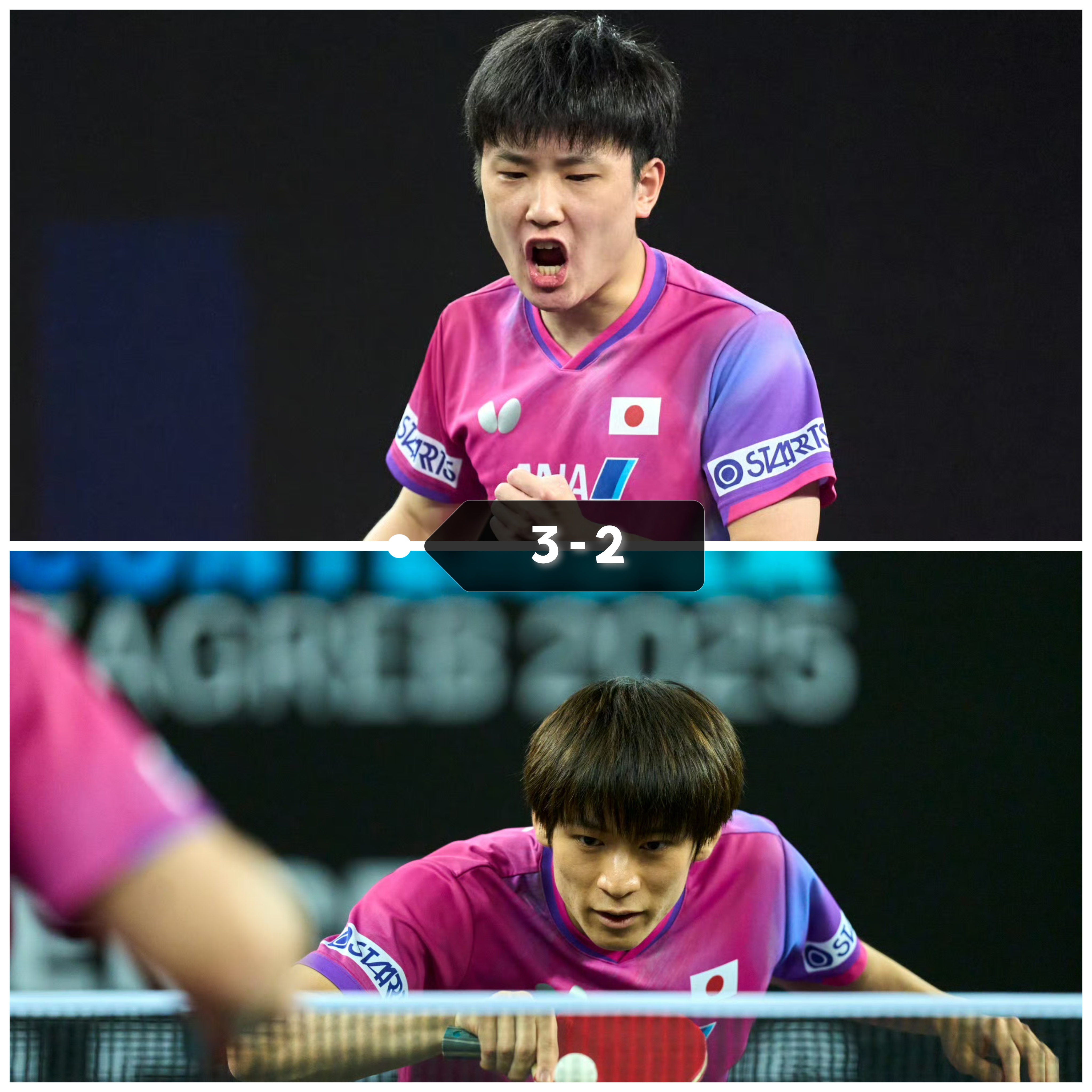 乐鱼体育网站入口-奥地利队险胜德国队，张本智和状态火热